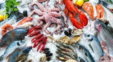 تحديث جديد أسعار الأسماك في الأسواق الاثنين 9 فبراير